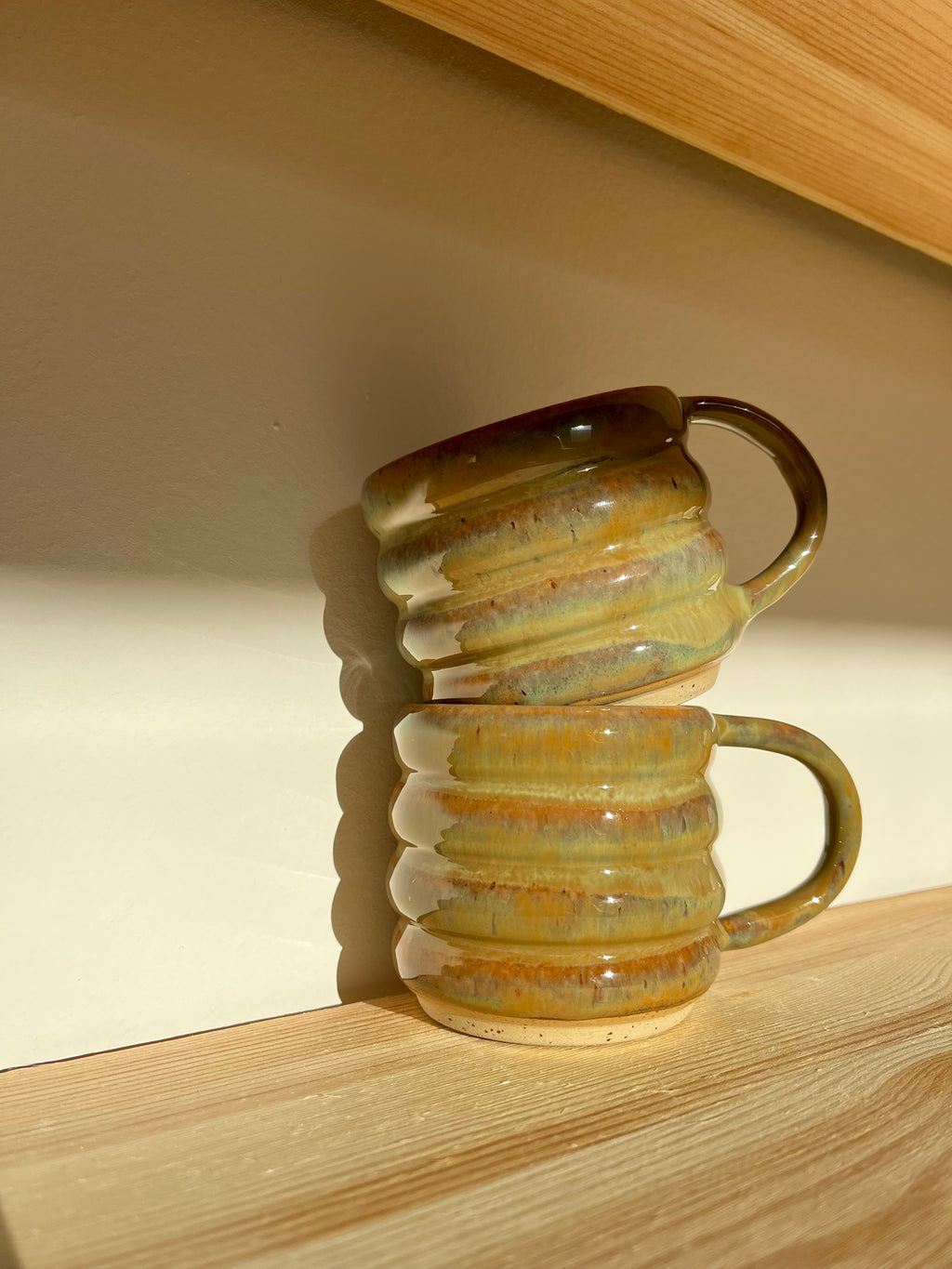 Bubble Tasse turtle