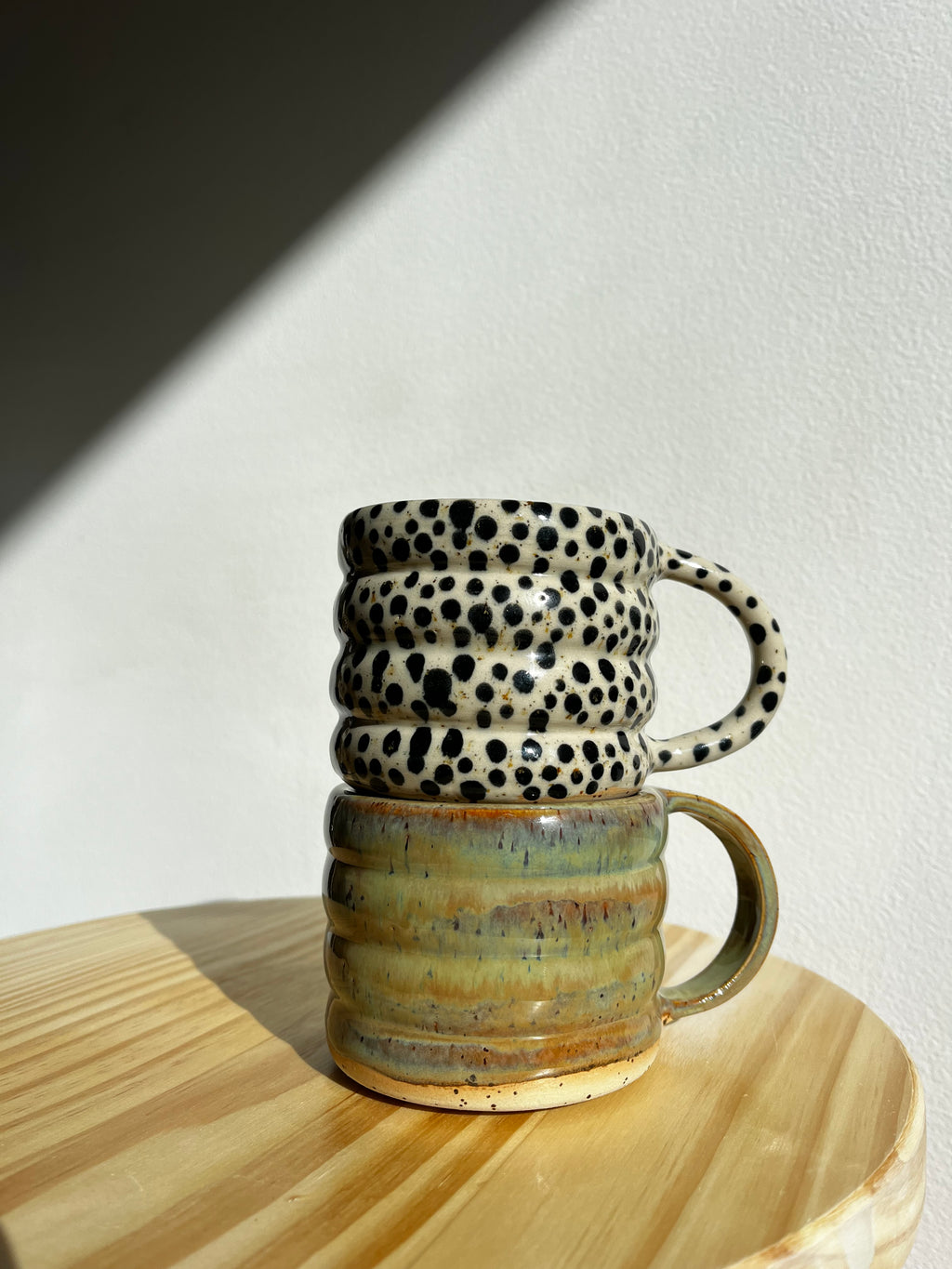 Bubble Tasse turtle