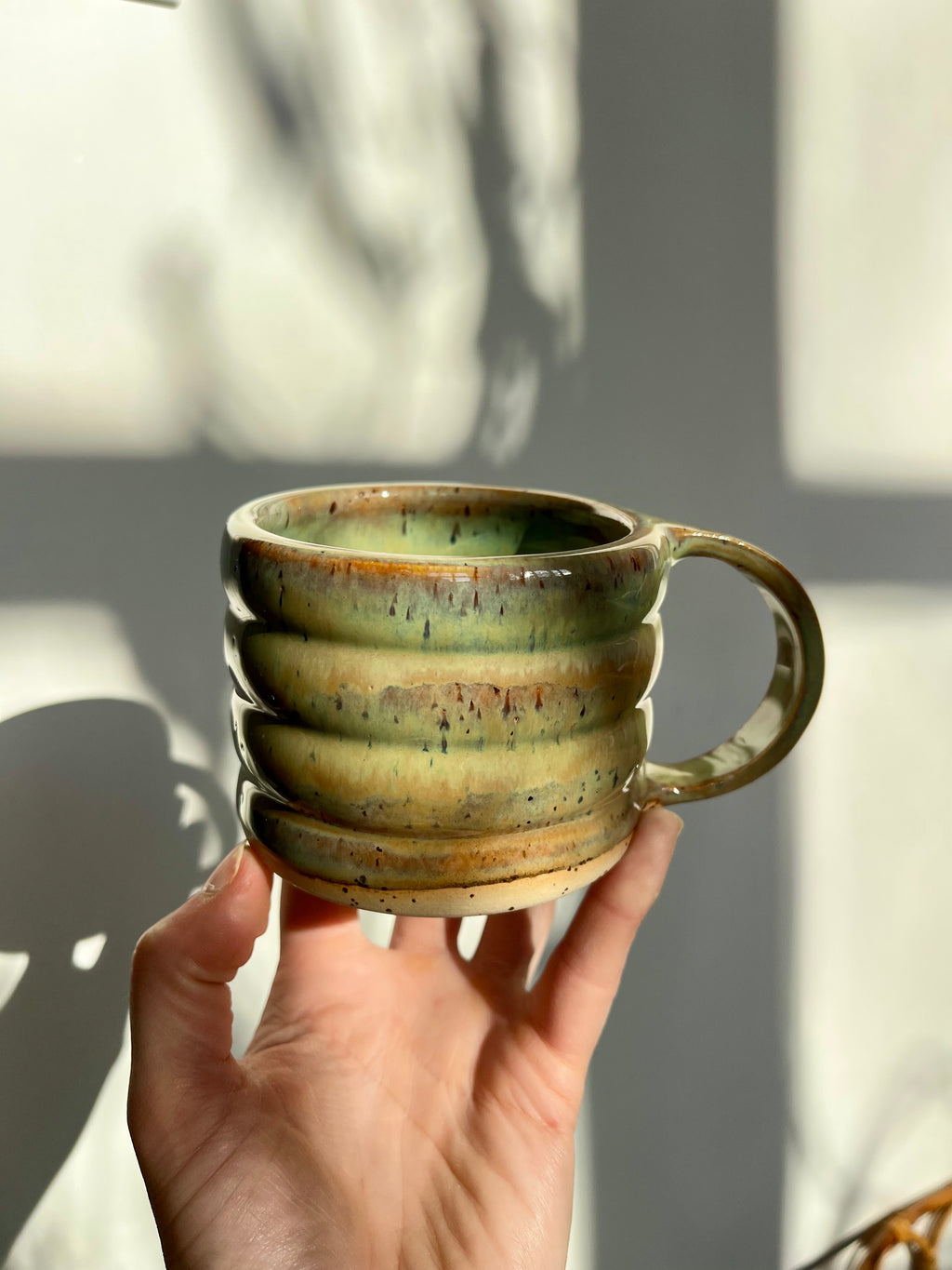 Bubble Tasse turtle